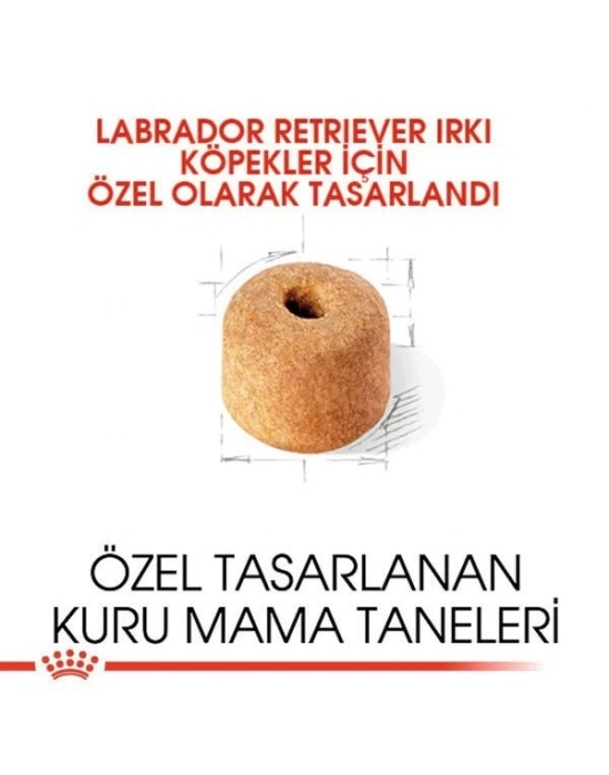 Royal Canin Labrador Retriever Yetişkin Köpek Maması 12 Kg