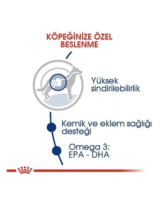 Royal Canin Maxi Adult Büyük Irk Yetişkin Köpek Maması 15 Kg