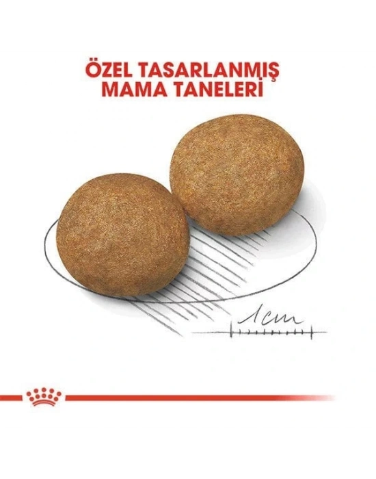 Royal Canin Medium Adult Yetişkin Köpek Maması 15 Kg