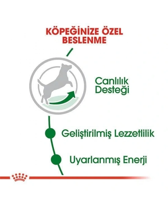 Royal Canin Mini Adult 8+ Küçük Irk Yaşlı Köpek Maması 2 Kg