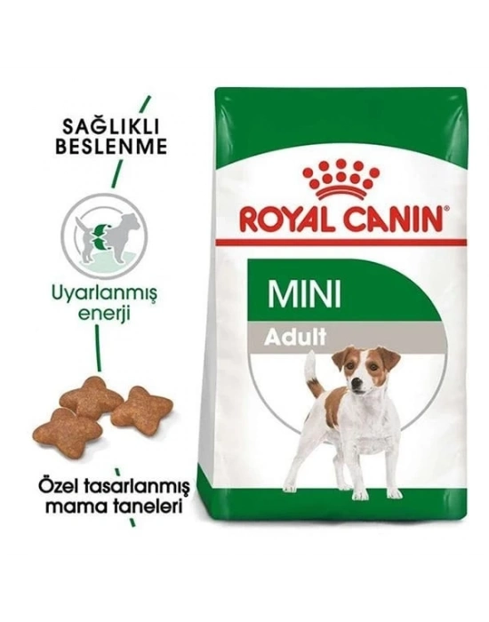 Royal Canin Mini Adult Küçük Irk Yetişkin Köpek Maması 2 Kg