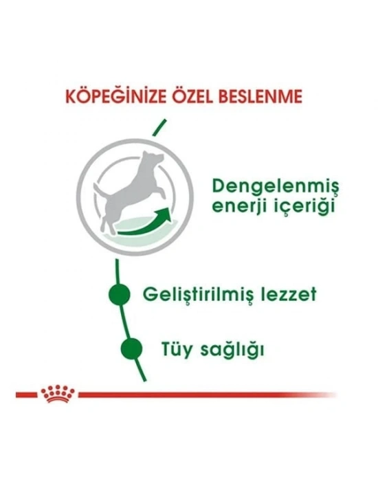 Royal Canin Mini Adult Küçük Irk Yetişkin Köpek Maması 2 Kg
