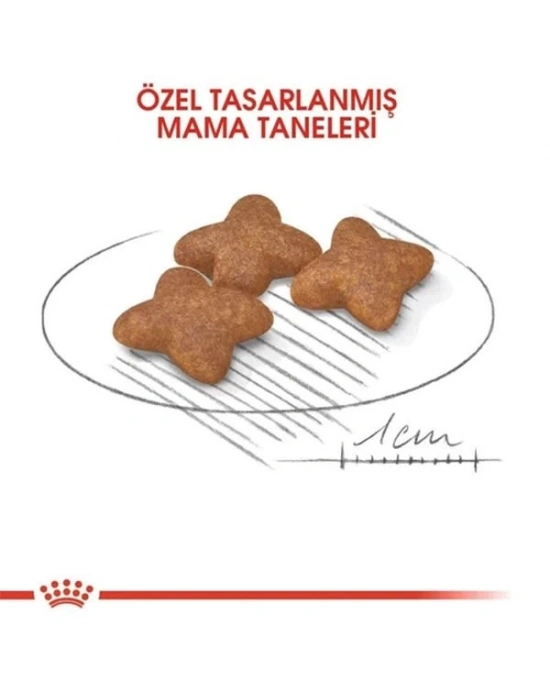 Royal Canin Mini Adult Küçük Irk Yetişkin Köpek Maması 2 Kg
