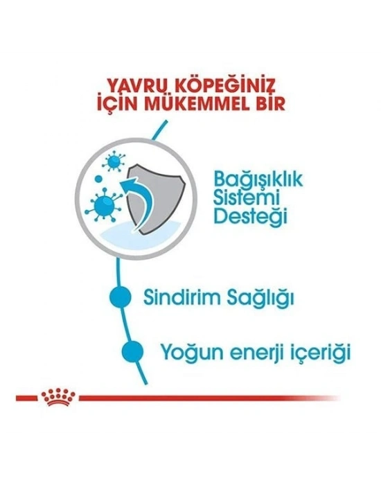 Royal Canin Mini Puppy Küçük Irk Yavru Köpek Maması 4 Kg