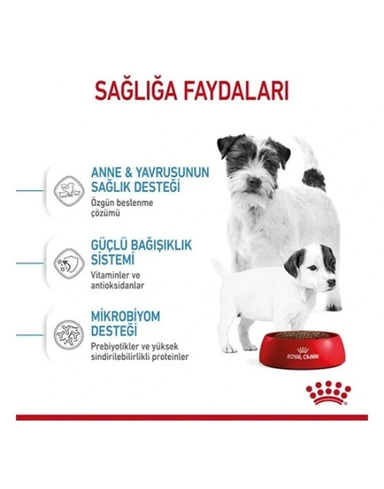 Royal Canin Mini Starter Anne ve Yavru Köpek Maması 4 Kg
