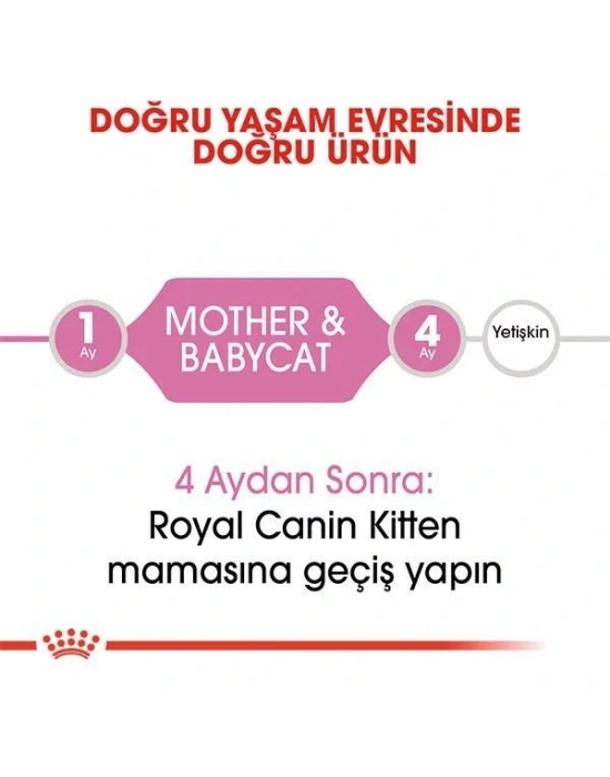 Royal Canin Mother Babycat Anne ve Yavru Kedi Maması 2 Kg