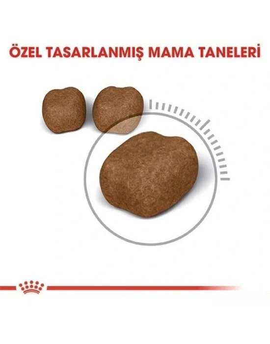 Royal Canin Oral Care Ağız ve Diş Sağlığı için Kedi Maması 1.5 Kg