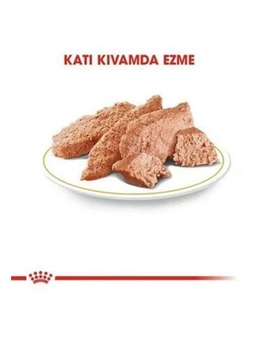 Royal Canin Persian Adult İran Kedisi Pouch Konserve Kedi Maması 1 Adet 85 Gr