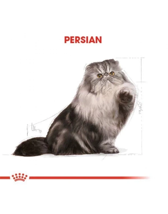Royal Canin Persian Adult Yetişkin İran Kedisi Maması 2 Kg