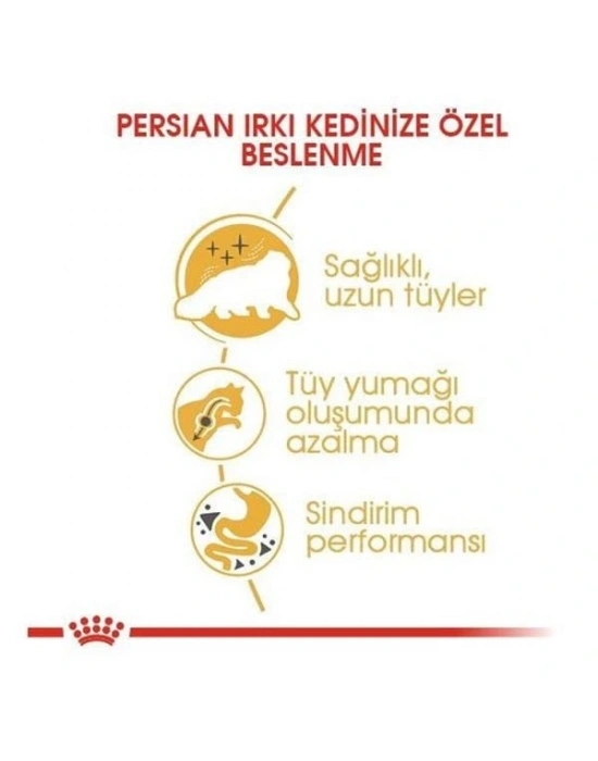 Royal Canin Persian Adult Yetişkin İran Kedisi Maması 400 Gr