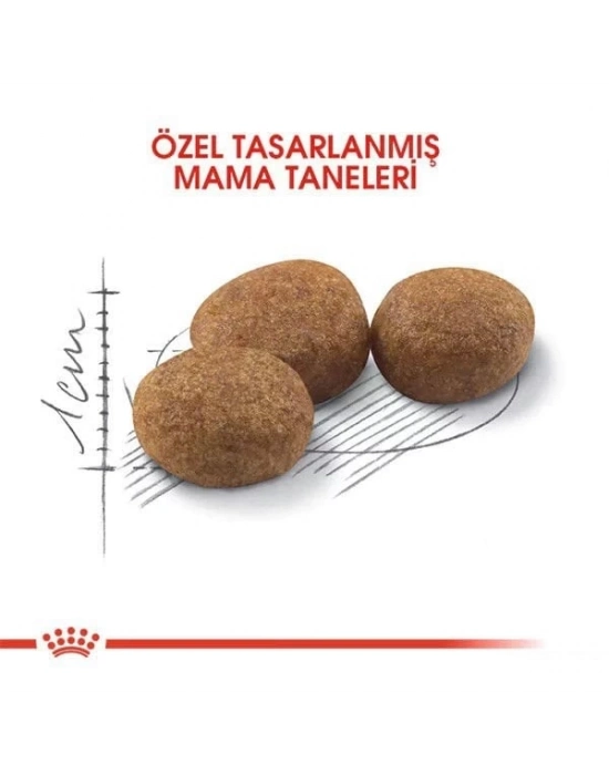 Royal Canin Sterilised Yetişkin Kısırlaştırılmış Kedi Maması 10 Kg