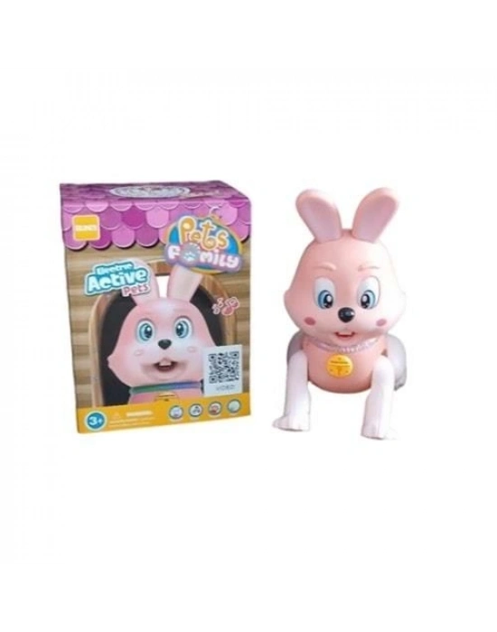 ® RS-9037C/9038C KUT.PİLLİ TAVŞAN / KEDİ -ZRV