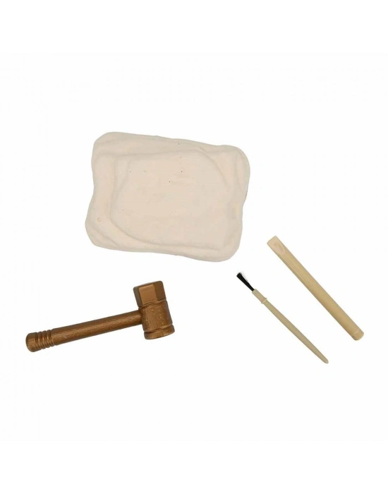 ® S00003202 RST-CRZ-KAZI SET FOSİL DİNOZOR (ADET FİYATIDIR)