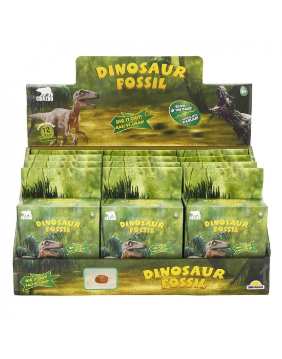 ® S00003202 RST-CRZ-KAZI SET FOSİL DİNOZOR (ADET FİYATIDIR)