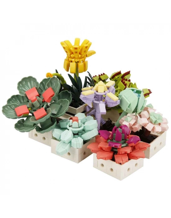 ® S00004685 BLX FLOWER SET SCULENT 971 PRÇ -SUN
