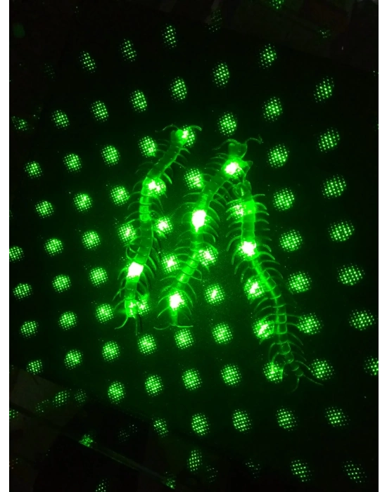 Şaka Yılan Ve Kırkayak Karışık 36 Adet