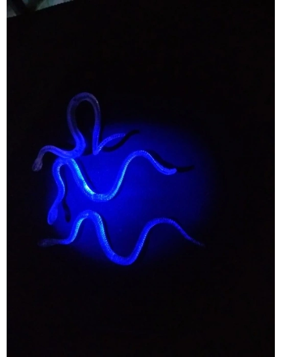 Şaka Yılan Ve Kırkayak Karışık 36 Adet