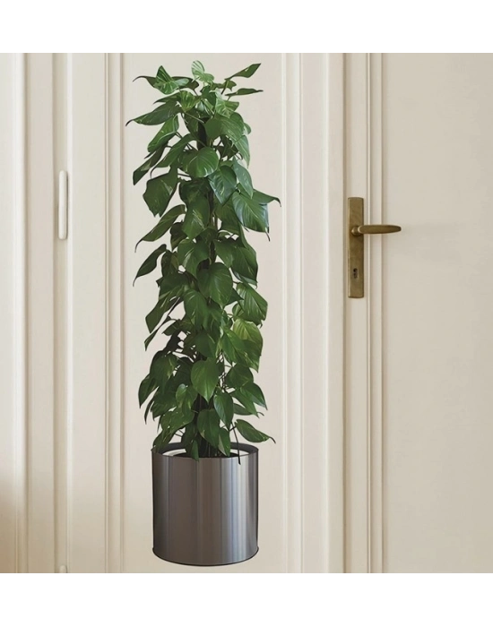 ® Saksılı Bitki Tasarımlı Yapışkanlı Sticker Resim 90*30 cm MC-665