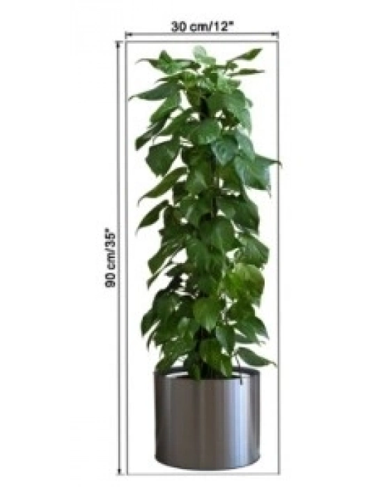 ® Saksılı Bitki Tasarımlı Yapışkanlı Sticker Resim 90*30 cm MC-665