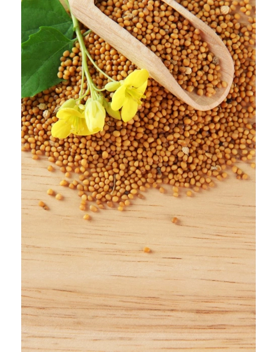 Sarı Hardal Tohumu Deluxe Seri Organik Lezzetli 300 Gr