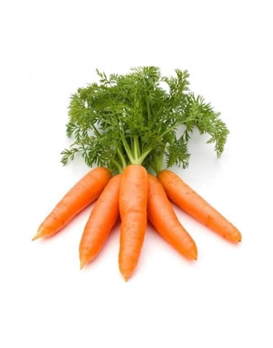 Sarı Havuç Tohumu 10 Gr