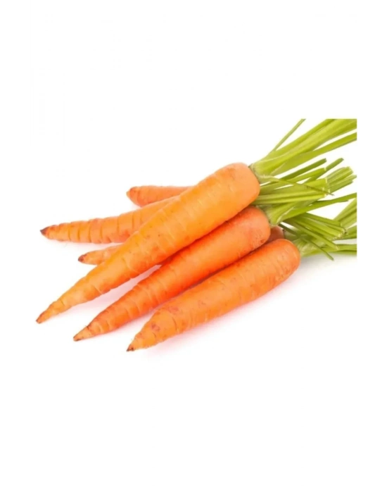 Sarı Havuç Tohumu 10 Gr