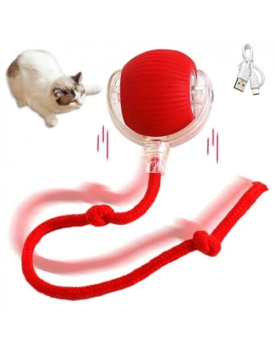 Şarjlı Kedi Oyuncağı