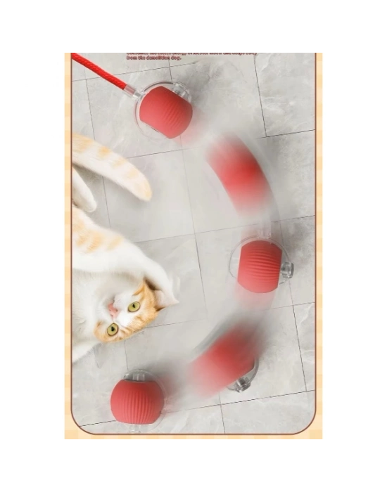 Şarjlı Kedi Oyuncağı