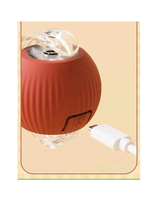 Şarjlı Kedi Oyuncağı