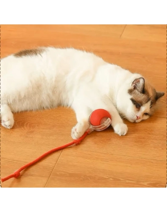 Şarjlı Kedi Oyuncağı