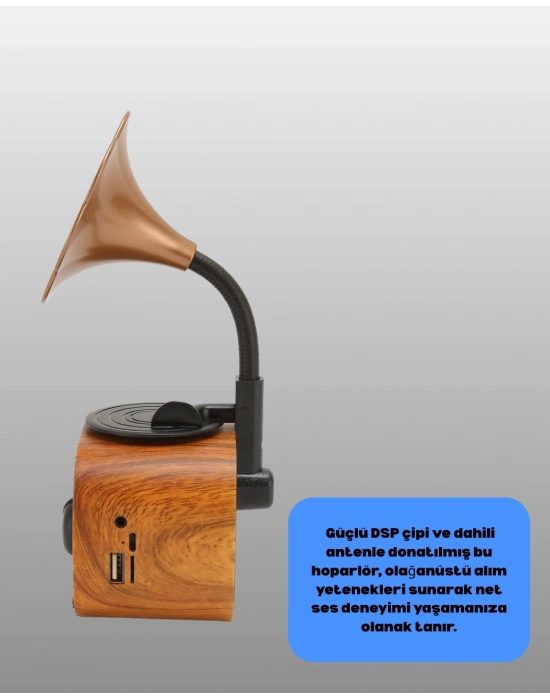 Şarjlı Mini Retro Radyo Bluetooth Hoparlör Çoklu Bağlantı Seçenekli