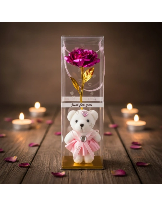 Şeffaf Kutulu Ayıcıklı Sonsuzluk Gülü