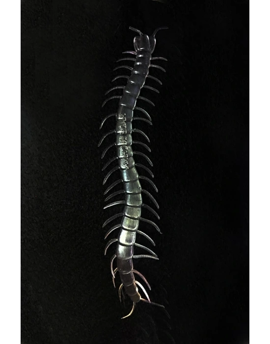 Şeffaf Renk Karanlıkta Parlayan Fosforlu Kırkayak 13 Cm 1 Adet