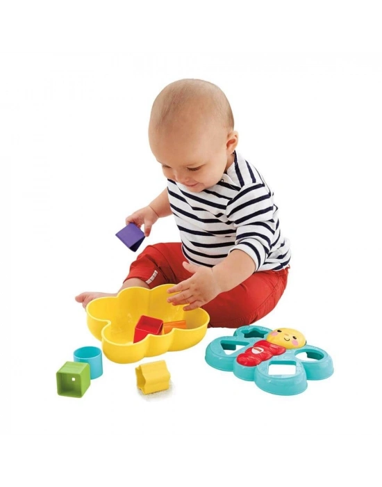 Şekil Eşleştirme Arkadaşı Kelebek CDC22