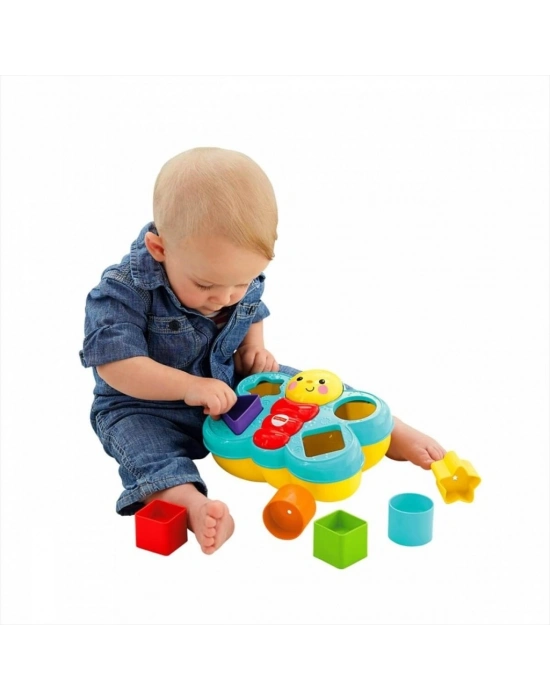 Şekil Eşleştirme Arkadaşı Kelebek CDC22