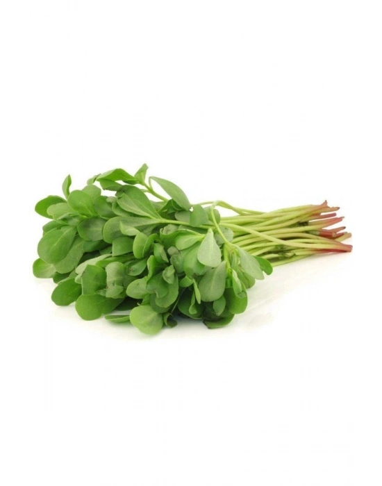 Semizotu Tohumu 10 Gr