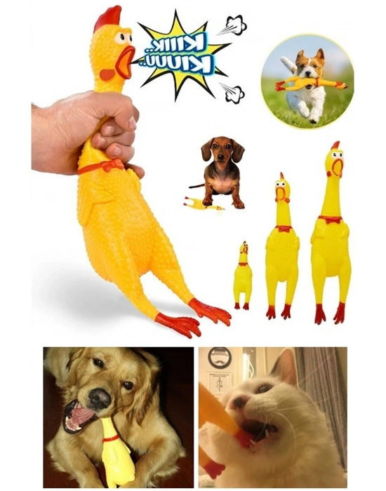 Ses Çıkaran Tavuk Kedi Köpek Oyuncağı