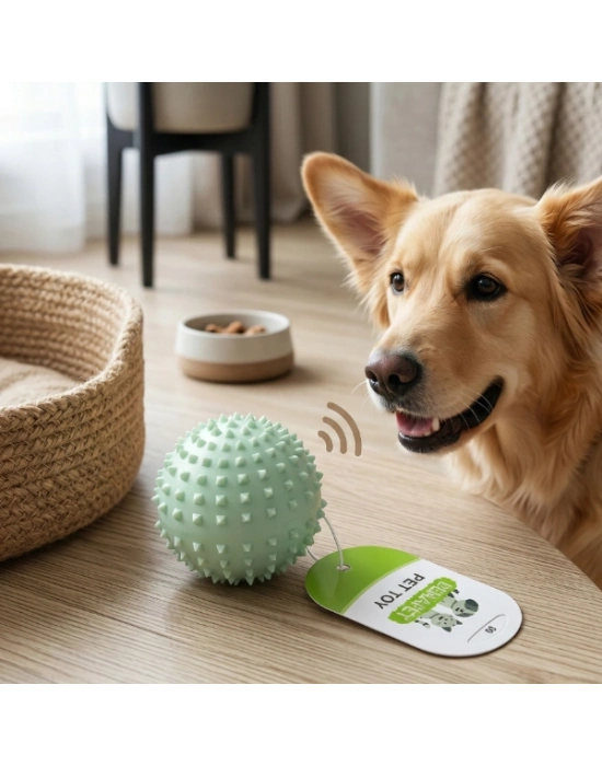 Sesli Dikenli Evcil Hayvan Oyuncak Topu