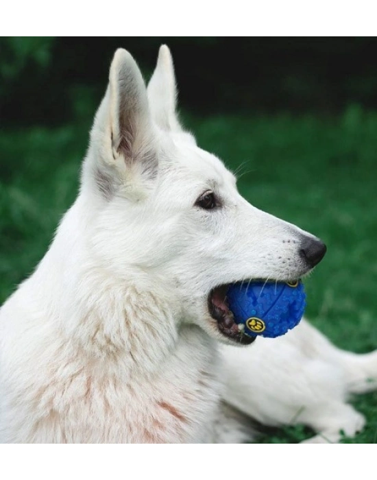 SESLI MAMA OYUN TOPU