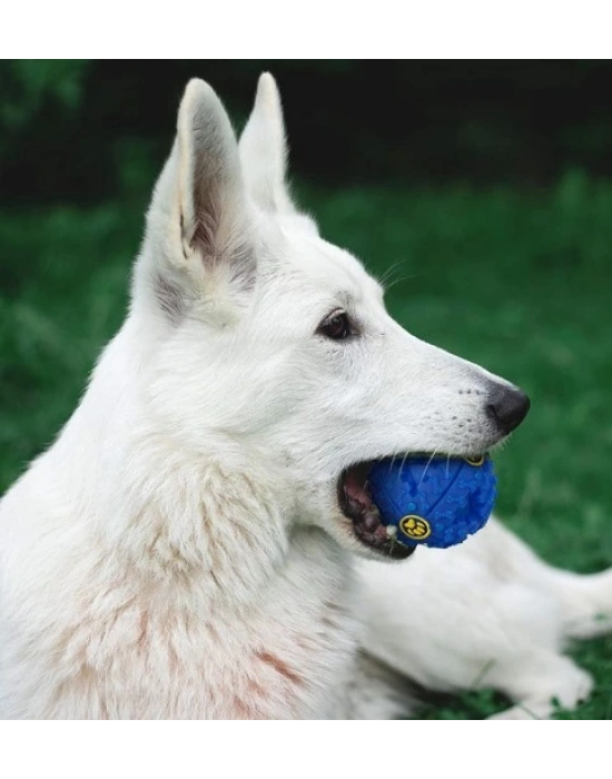 SESLI MAMA OYUN TOPU