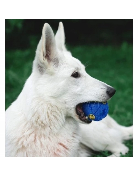 SESLI MAMA OYUN TOPU