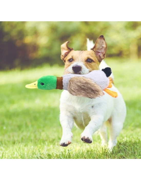 Sesli Ördek Şekilli Peluş Köpek Oyuncağı