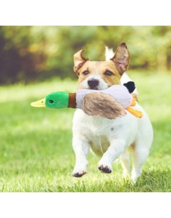 Sesli Ördek Şekilli Peluş Köpek Oyuncağı