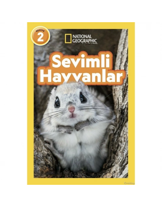 Sevimli Hayvanlar