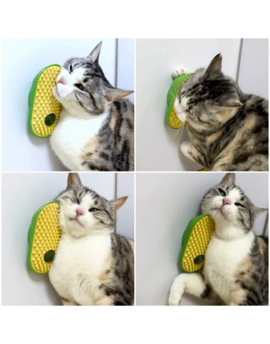 Silikon Kaşıyıcılı Kedi Otu