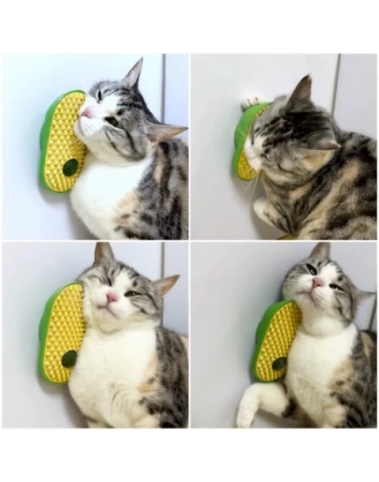 Silikon Kaşıyıcılı Kedi Otu