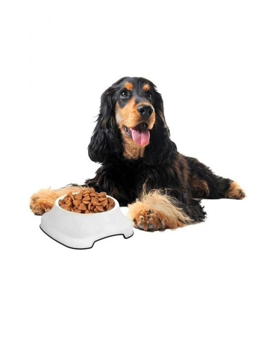 ®  Silikon Kaydırmaz Taban Plastik Kedi ve Köpek Mama ve Su Kabı 2 L