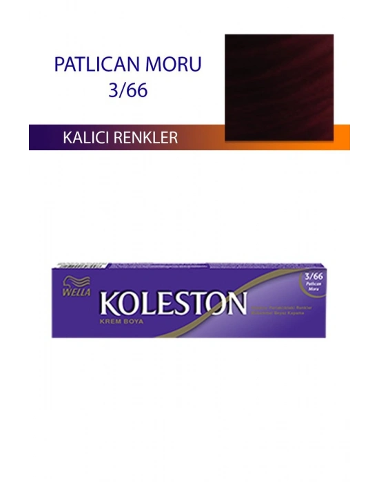 Single Tüp Boya Saç Boyası Patlıcan Moru 3/66
