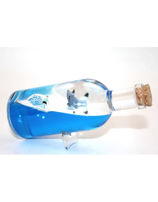 Şişe İçinde Batmayan Gemi Model 2