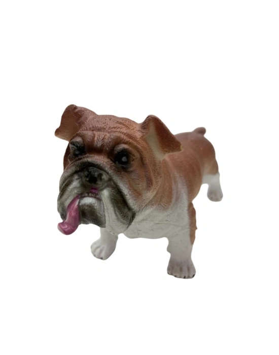 Soft Köpekler - Amerikan Bulldog Cinsi Köpek - E013